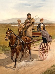 Irlantilainen huviauto, n. 1890 tekijältä Detroit Publishing Co.