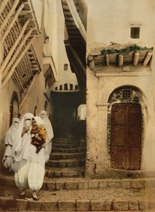 Kamelikatu, Alger, n. 1899 (valokuva) tekijältä Detroit Publishing Co.