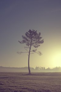  tekijältä Diego Beyro