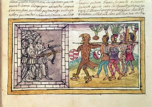 Codex Duran: Pedro de Alvarado (n. 1485-1541) atsteekisotureiden piirittämän Hernando Cortesin (1485-1547) asekumppani