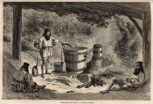 Rakioun, viljaalkoholin, eräänlaisen snapsin valmistus on hyvin yleistä Romaniassa. Kaiverrus havainnollistamaan matkaa Pariisista Bukarestiin, valmistelija Lancelot, vuonna 1860, julkaistu "Le tour du monde, nouveau journal des voyages" ohjeiden alla