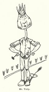 Herra Tulip tekijältä Dion Clayton Calthrop