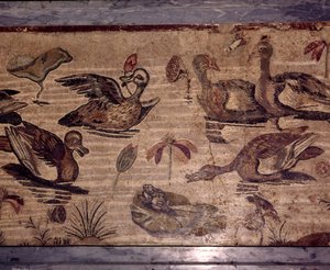 Roomalainen mosaiikki Pompejista ankoista ja sammakoista vesipuutarhassa, 1. vuosisadalla tekijältä Dioscurides of Samos