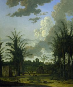 Plantaatio Surinamessa