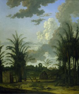 Plantaatio Surinamessa