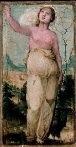 Naisen hahmo. Domenico Beccafumin (1486-1551) maalaus. Siena, konservatorio tekijältä Domenico Beccafumi