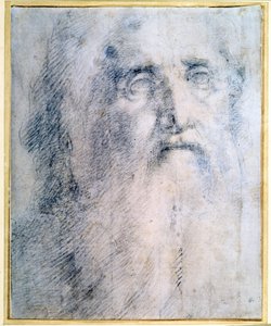 "Tutkimus vanhan miehen päästä, jolla on parta", c1535 tekijältä Domenico Beccafumi