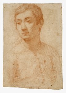 Nuoren pää, n. 1600-25 (punainen liitu paperille) tekijältä Domenico Cresti