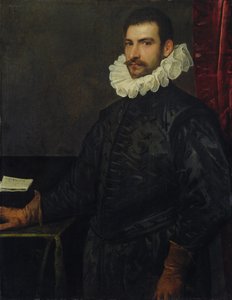 Nuoren miehen muotokuva tekijältä Domenico Robusti Tintoretto