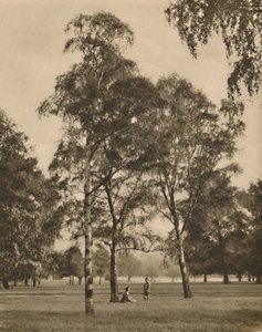 The Lace-Work of the Leaves: A Summer Morning in Hyde Park, vuodelta 1935. tekijältä Donald McLeish