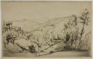 San Gimignanon kentät tekijältä Donald Shaw MacLaughlan