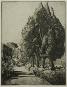 Cypress Grove tekijältä Donald Shaw MacLaughlan