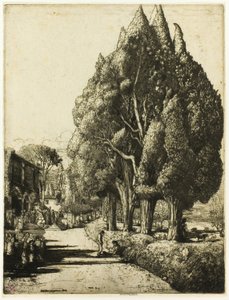 Cypress Grove tekijältä Donald Shaw MacLaughlan