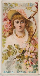 Acacia: Chaste Love, sarjasta Floral Beauties and Language of Flowers N75 Duk..., 1892.