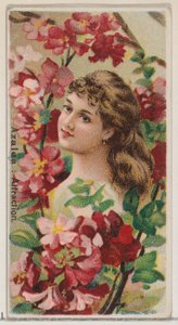 Azalea: Attraction, sarjasta Floral Beauties and Language of Flowers N75 for Duke..., 1892. tekijältä Donaldson Brothers