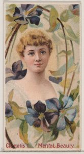 Clematis: Mental Beauty, sarjasta Floral Beauties and Language of Flowers N75 for..., 1892. tekijältä Donaldson Brothers