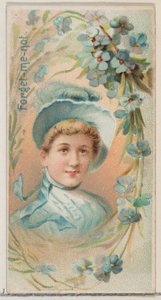 Forget-Me-Not, sarjasta Floral Beauties and Language of Flowers N75 Duke bran..., 1892. tekijältä Donaldson Brothers