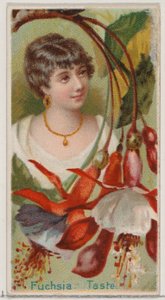 Fuchsia: Taste, sarjasta Floral Beauties and Language of Flowers N75 for Duke bra..., 1892. tekijältä Donaldson Brothers