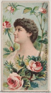 Moss Rose: Confession of Love, sarjasta Floral Beauties and Language of Flowers N7..., 1892.