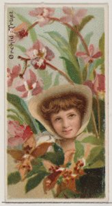 Orchid: Trust, sarjasta Floral Beauties and Language of Flowers N75 for Duke bran..., 1892. tekijältä Donaldson Brothers