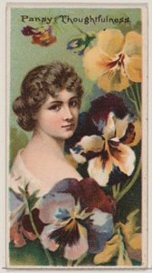 Pansy: Thoughtfulness, sarjasta Floral Beauties and Language of Flowers N75 for D..., 1892. tekijältä Donaldson Brothers