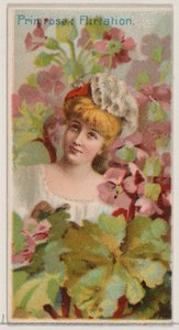 Primrose: Flirttailu, sarjasta Floral Beauties and Language of Flowers N75 for Du..., 1892. tekijältä Donaldson Brothers