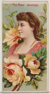 Tea Rose: Kateus, sarjasta Floral Beauties and Language of Flowers N75 for Duke..., 1892. tekijältä Donaldson Brothers
