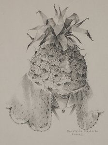 Ananas tekijältä Donatella Merlo