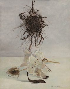 Juuri tekijältä Donatella Merlo