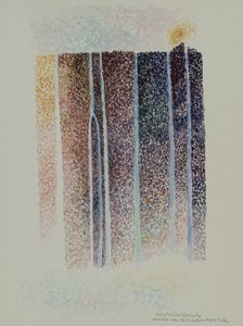 Tronadorin putoukset, Argentiina