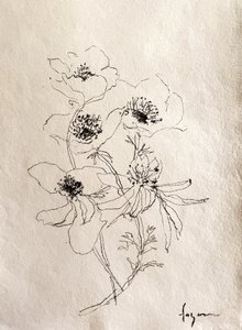  tekijältä Dorothy Fagan
