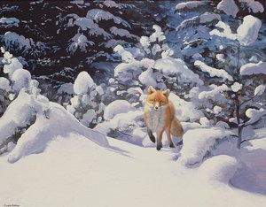 Kettu syvässä lumessa kuusen kanssa