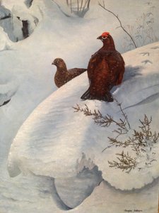 Metsäkana lumessa, 1985 (öljy kankaalle). tekijältä Douglas Anderson
