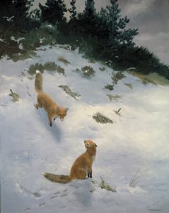 Rakkautta ensi silmäyksellä, Ketut lumessa