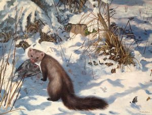 Kivimajava lumessa (öljy kankaalle) tekijältä Douglas Anderson