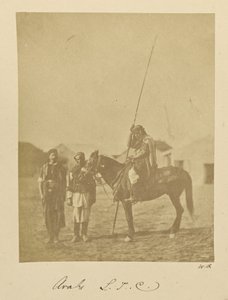 Arabit. L.T.C. tekijältä Dr. William Robertson