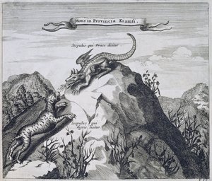 Vuori Jiangxin maakunnassa, jossa on lohikäärmeenä ja tiikereinä tunnetut kalliot, Kiinasta Kuvittanut Athanasius Kircher (1601-80) 1667 tekijältä Dutch School