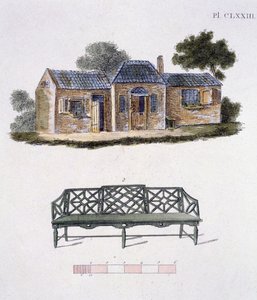 Kuvitus G Van Laarin Garden Gems -lehdestä, 1802 tekijältä Dutch School