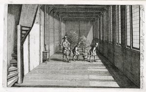 Puiden siirtäminen puutarhaan kesäksi, Jan Commelinin De Nederlandse Hesperides, julkaistu 1676 tekijältä Dutch School