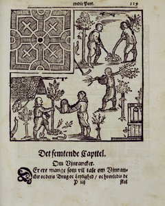 Puiden istuttaminen, Johann van der Groenin hollantilainen puutarhuri, julkaistu 1699 tekijältä Dutch School
