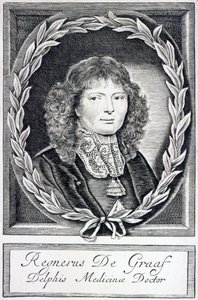 Regnier de Graaf, noin 1670 tekijältä Dutch School