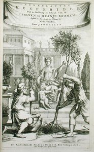 Jan Commelinin vuonna 1676 julkaiseman teoksen "De Nederlandze Hesperides" nimiölehti (kaiverrus). tekijältä Dutch School