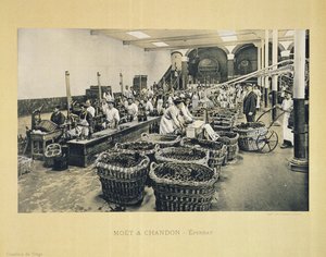 Samppanjan pullotus, La France Vinicole, julkaisija Moet & Chandon, Epernay (photolith)