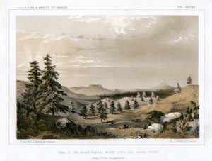 Black Forest Mount Hope ja Sierra Prieta, USA, 1856. tekijältä E Stout