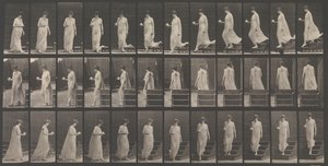 Eläinten liikkuminen. Eläinten liikkeiden sähkövalokuvatutkimus. Alkaa..., 1880-luku. tekijältä Eadweard Muybridge