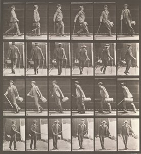 Eläinten liikkuminen. Sähkövalokuvatutkimus... eläinten liikkeistä. Alkaa..., 1880-luku. tekijältä Eadweard Muybridge