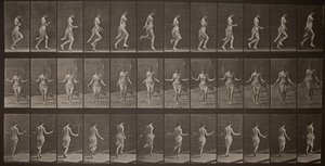 Animal Locomotion, levy 174, 1887. tekijältä Eadweard Muybridge