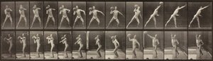 Animal Locomotion, levy 319, 1887. tekijältä Eadweard Muybridge