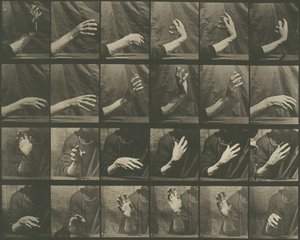 Animal Locomotion, levy 535, 1887. tekijältä Eadweard Muybridge