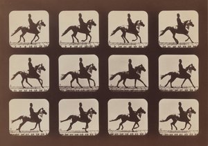 Attitudes of Animals in Motion, 1879, painettu 1881. tekijältä Eadweard Muybridge